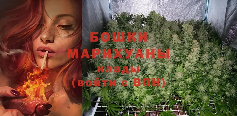 Марихуана OG Kush  Ревда 